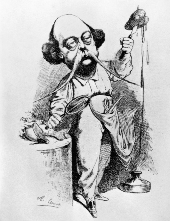 Gustave Flaubert Caricatura